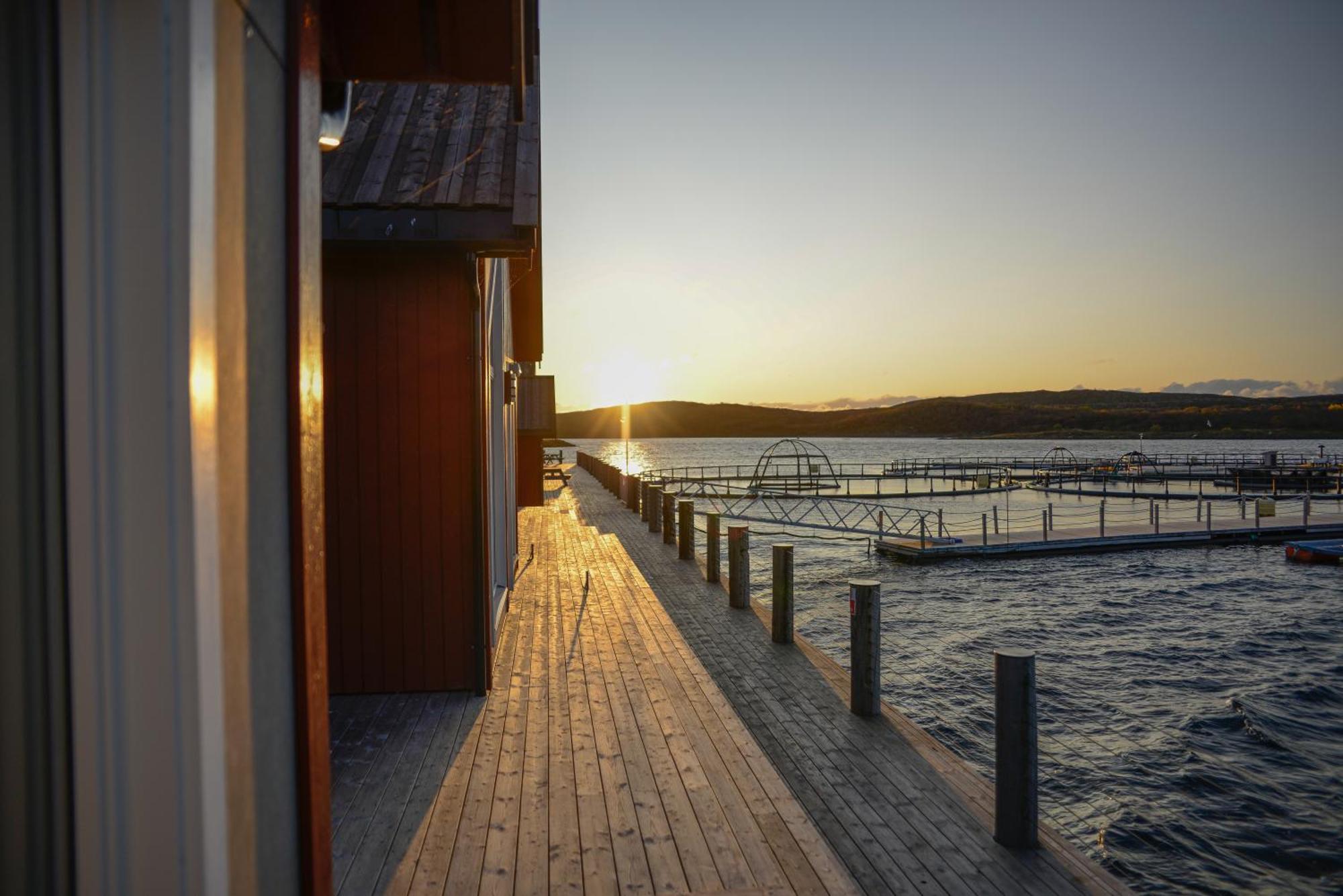 Norsk Havbrukssenter - Rorbuer Hotel Bronnoysund Exterior photo